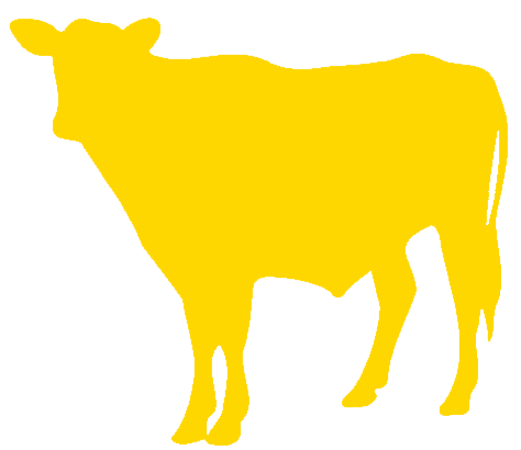 cow-gold